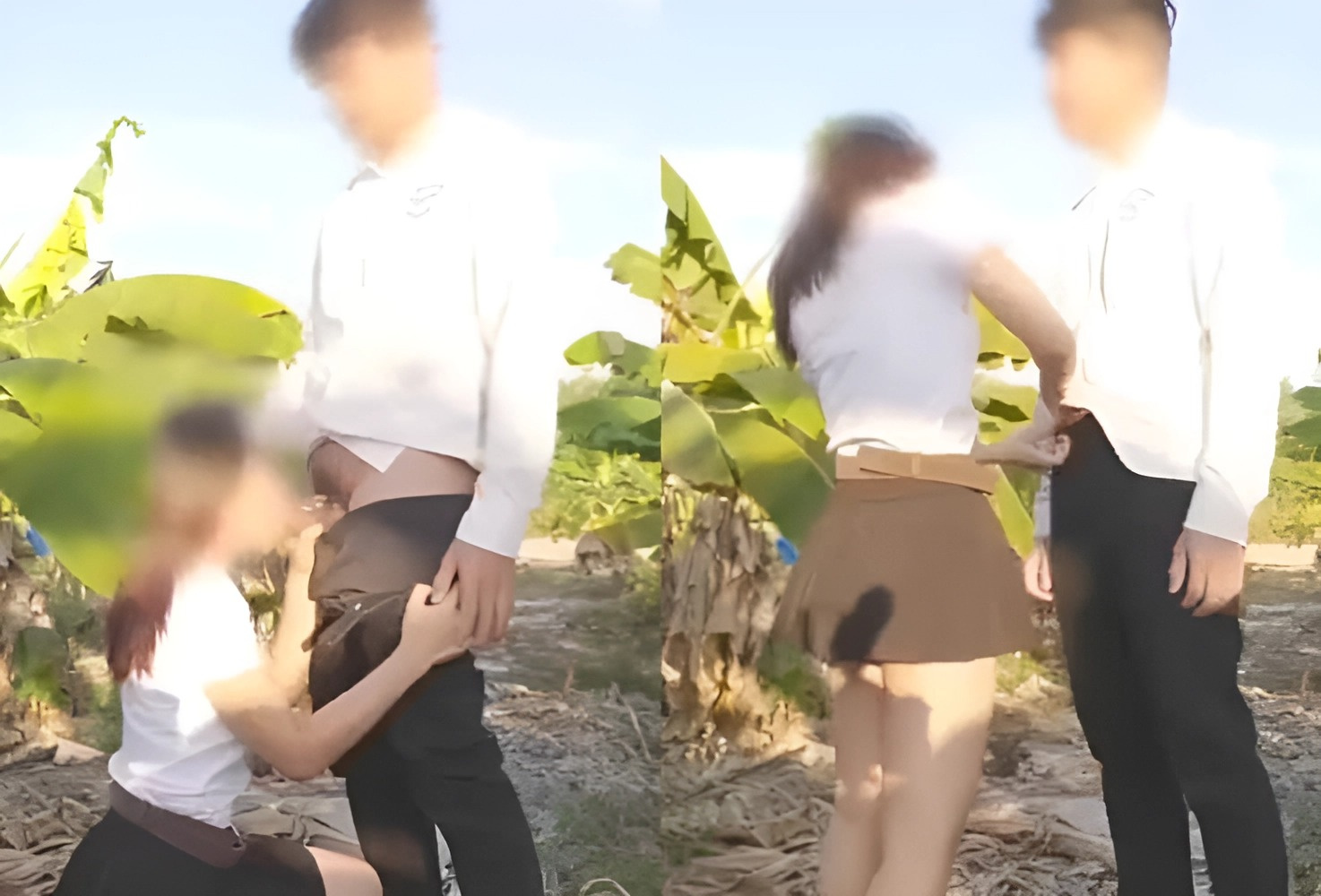 Hayaan mong sipsipin ko ang iyong titi sa hardin ng saging